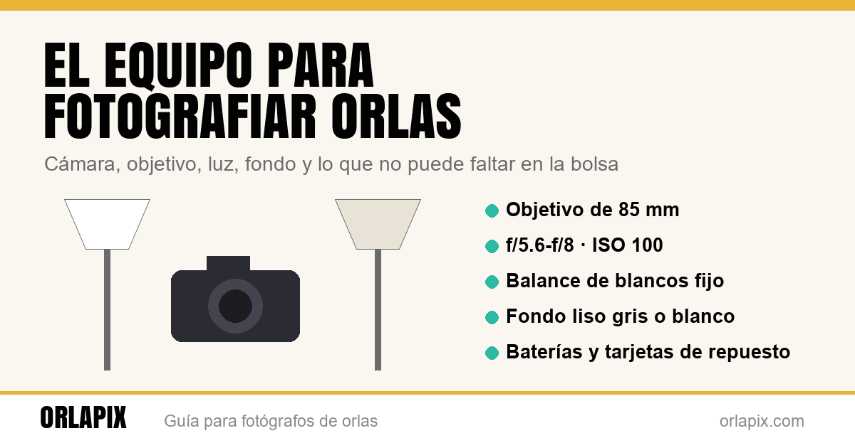El equipo para fotografiar orlas: cámara, objetivo, luz y fondo